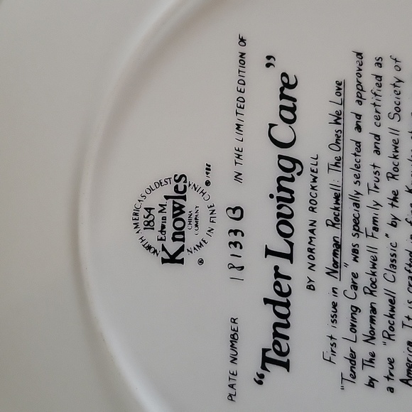 Authentic Norman Rockwell Plate - Picture 4 of 5